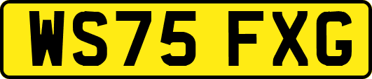 WS75FXG