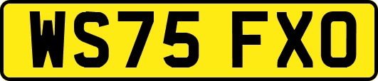 WS75FXO