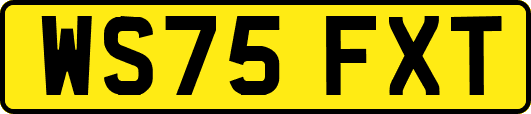 WS75FXT