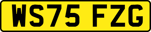 WS75FZG