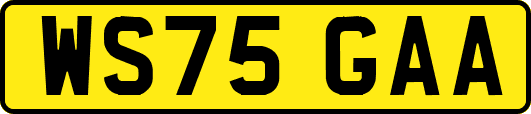 WS75GAA