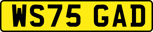 WS75GAD