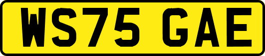 WS75GAE