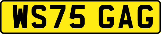 WS75GAG