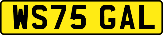 WS75GAL
