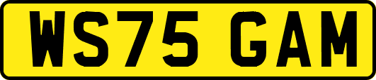 WS75GAM