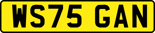WS75GAN