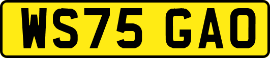 WS75GAO