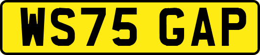WS75GAP