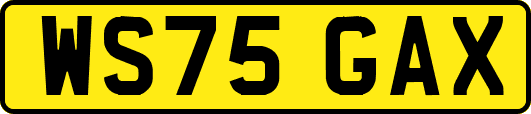 WS75GAX