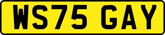 WS75GAY