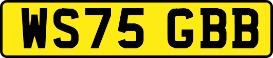 WS75GBB