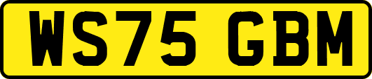 WS75GBM