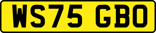 WS75GBO