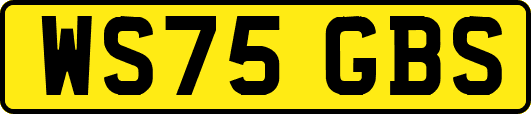 WS75GBS