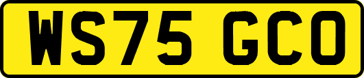 WS75GCO
