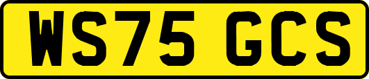 WS75GCS