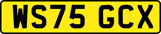 WS75GCX
