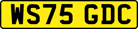 WS75GDC