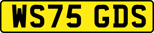 WS75GDS