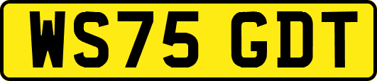 WS75GDT