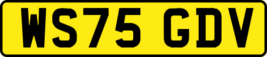WS75GDV