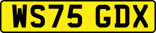 WS75GDX
