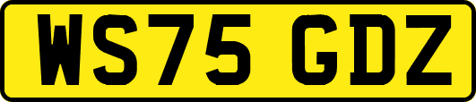 WS75GDZ