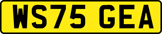 WS75GEA