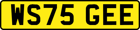 WS75GEE