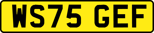 WS75GEF