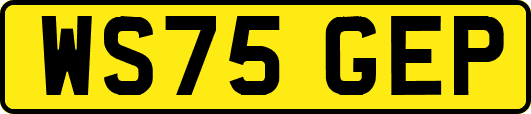 WS75GEP