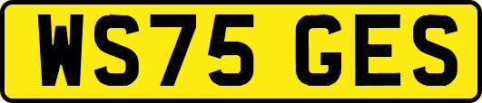 WS75GES
