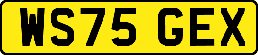 WS75GEX