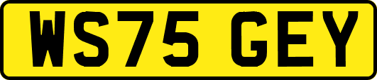 WS75GEY