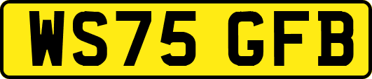 WS75GFB