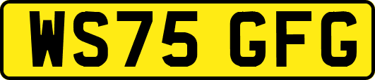 WS75GFG