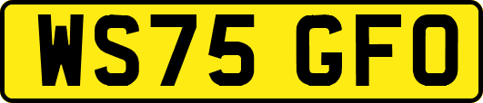 WS75GFO