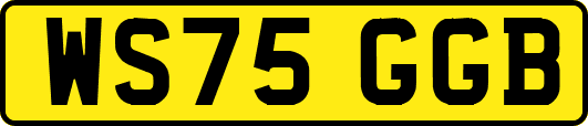 WS75GGB