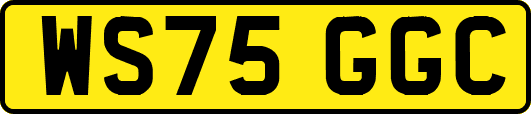 WS75GGC