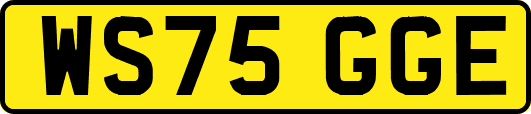 WS75GGE
