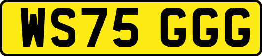 WS75GGG