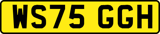 WS75GGH