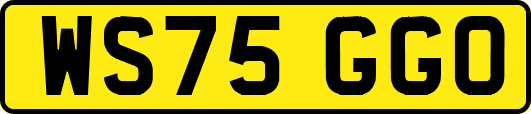WS75GGO