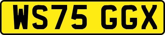 WS75GGX