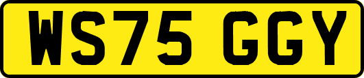 WS75GGY