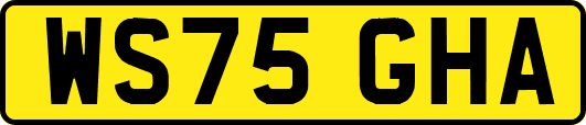 WS75GHA