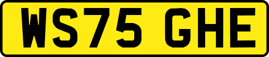 WS75GHE