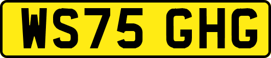 WS75GHG