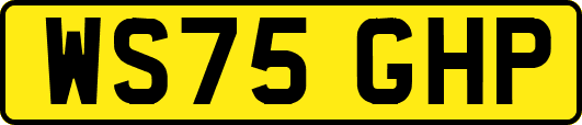 WS75GHP